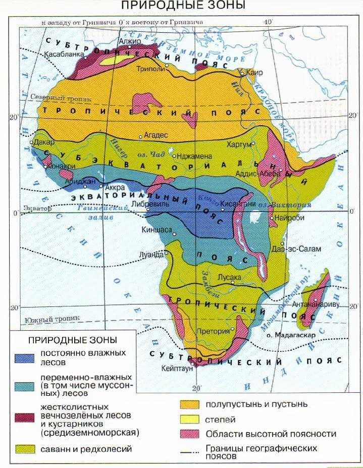 Природные зоны африки - характеристика и план описания, причины