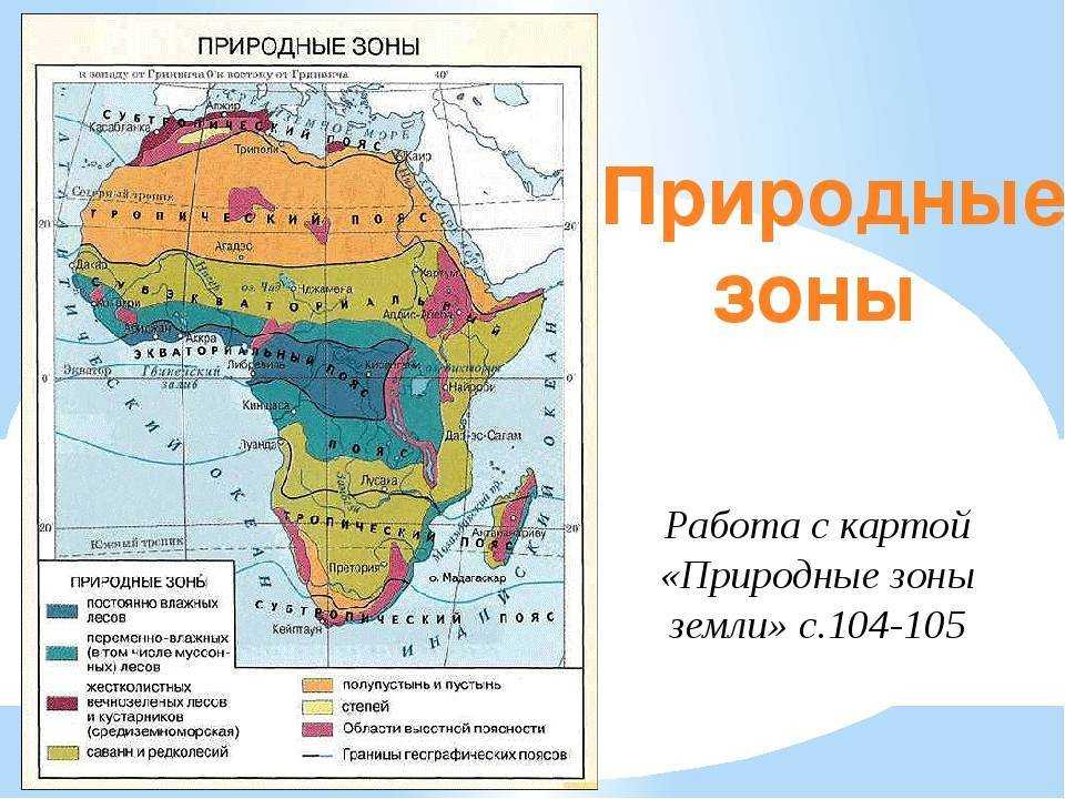 Таблица по географии 7 природные зоны африки. природные зоны африки