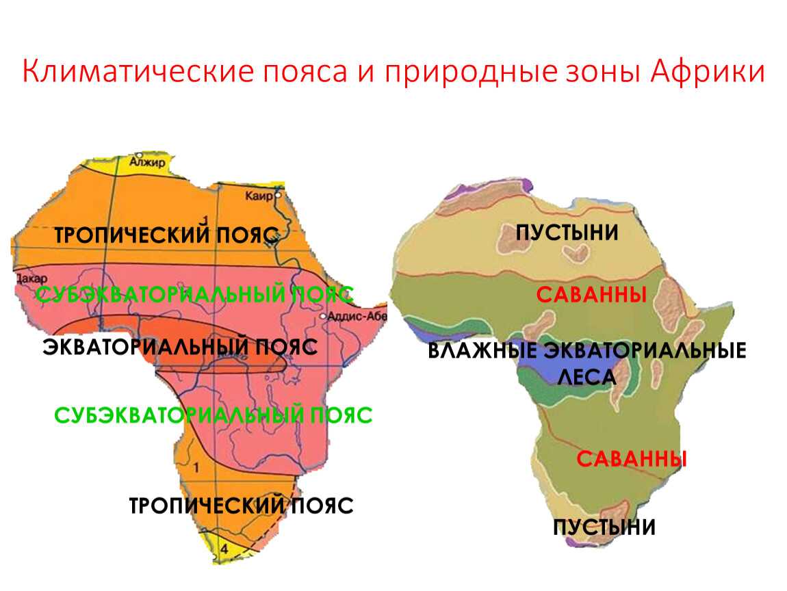 Климат африки – типы и карта, кратко для урока географии в 7 классе