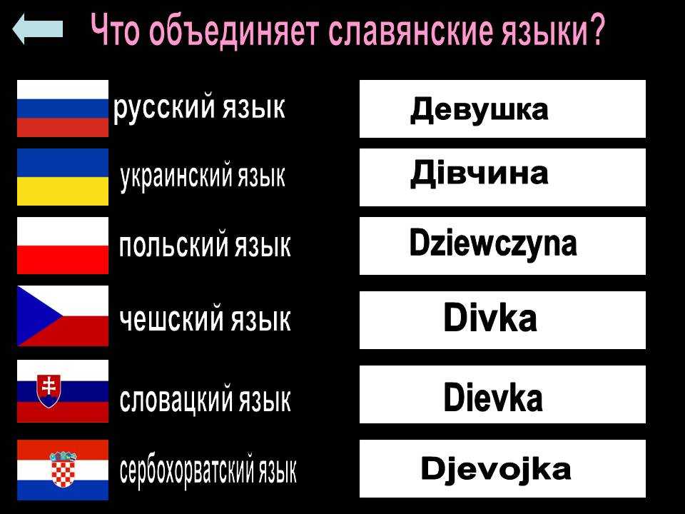 На каком языке разговаривают в дании. какой язык в дании