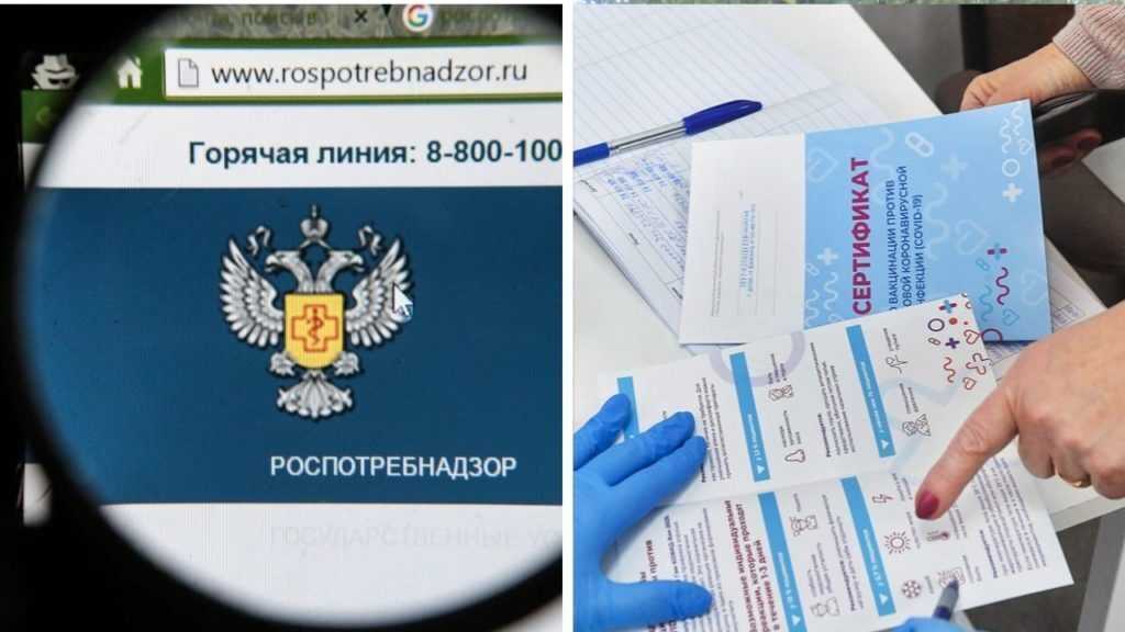 Пцр-тест в рф отменили: нужно ли сдавать иностранцам и россиянам