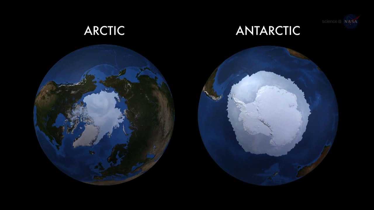 В чем разница между антарктидой и арктикой, где они находятся и отличия
