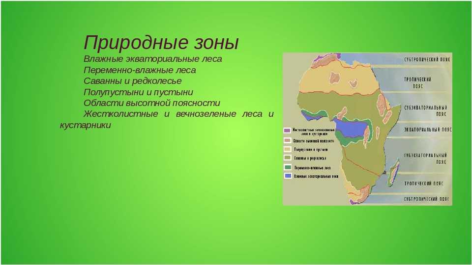 Климатические пояса африки - географическое положение, страны