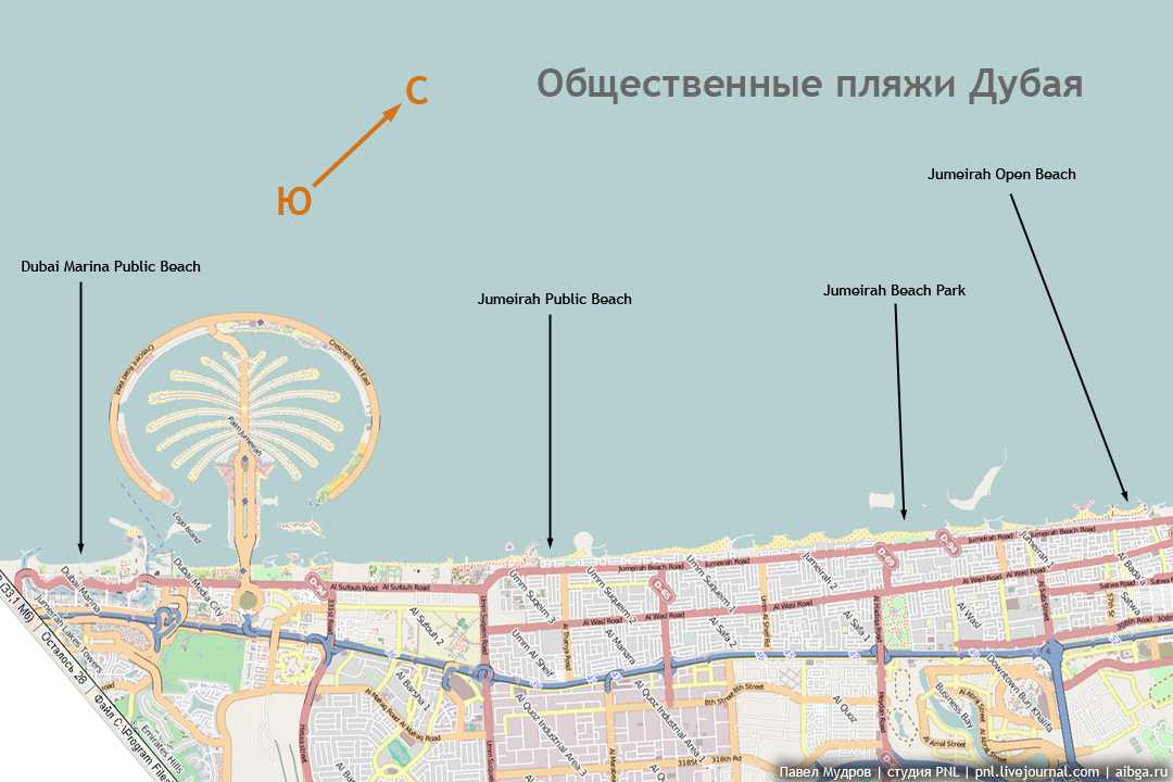 Пляж аль мамзар, дубай, оаэ. отели рядом, фото, видео, как добраться – туристер.ру