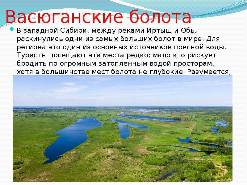 Одно из самых больших болот в мире - васюганское болото, экологические проблемы одного из ста природных чудес россии