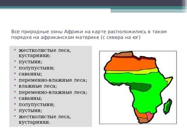 Конспект темы "африка: рельеф, природа, климат"