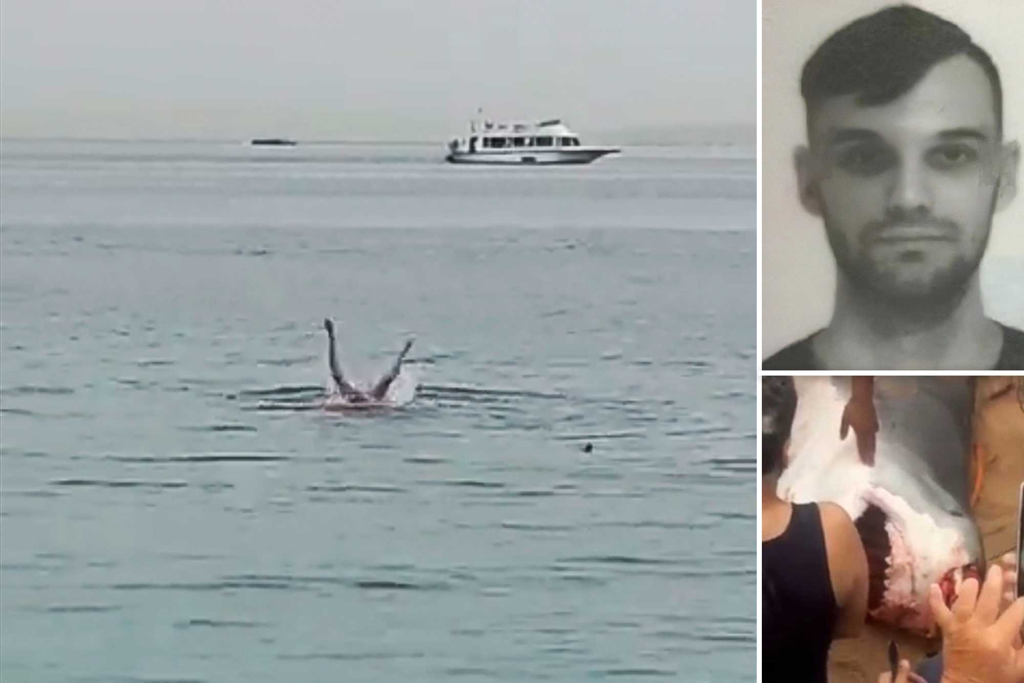 В каких морях и на каких курортах мира водятся акулы, убивающие туристов - hi-news.ru
