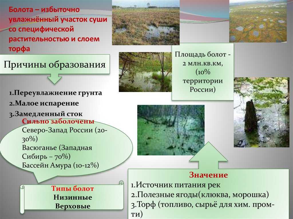 Самые большие болота россии: площадь, где находятся на карте