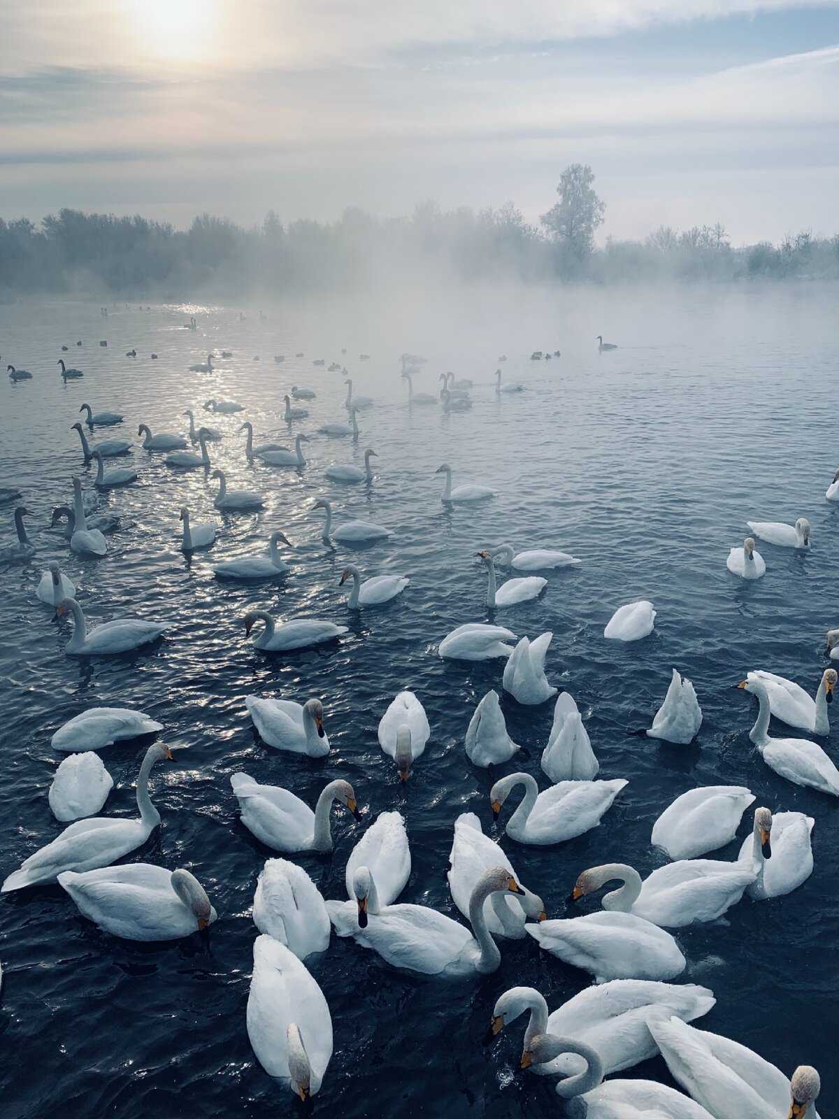 Голубые озера алтая. фото, зимой, особенности, как добраться, на карте, отели — туристер.ру