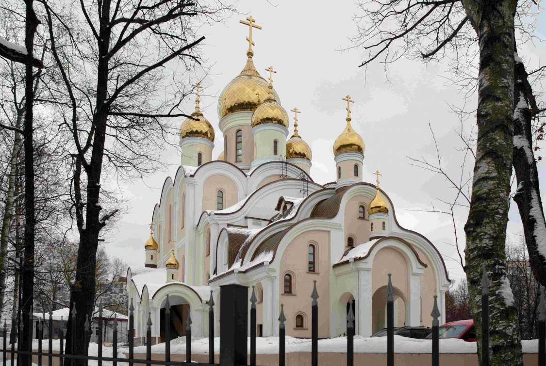 Храм матроны московской в дмитровском ул софьи. Храм Матроны Московской на ул Софьи Ковалевской. Церковь Матроны Московской в Дмитровском. Храм блаженной Матроны Московской в Москве. Храм Матроны Московской на ангарских прудах.