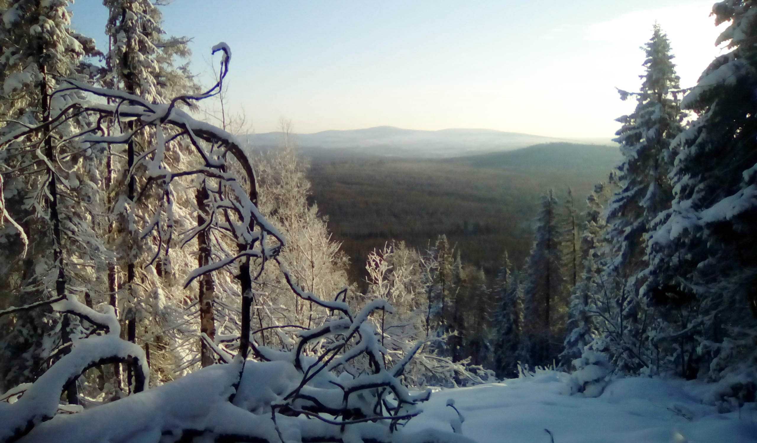 Висимский заповедник — оленья ферма, сайт, горы, где находится, фото, отзывы, часы работы