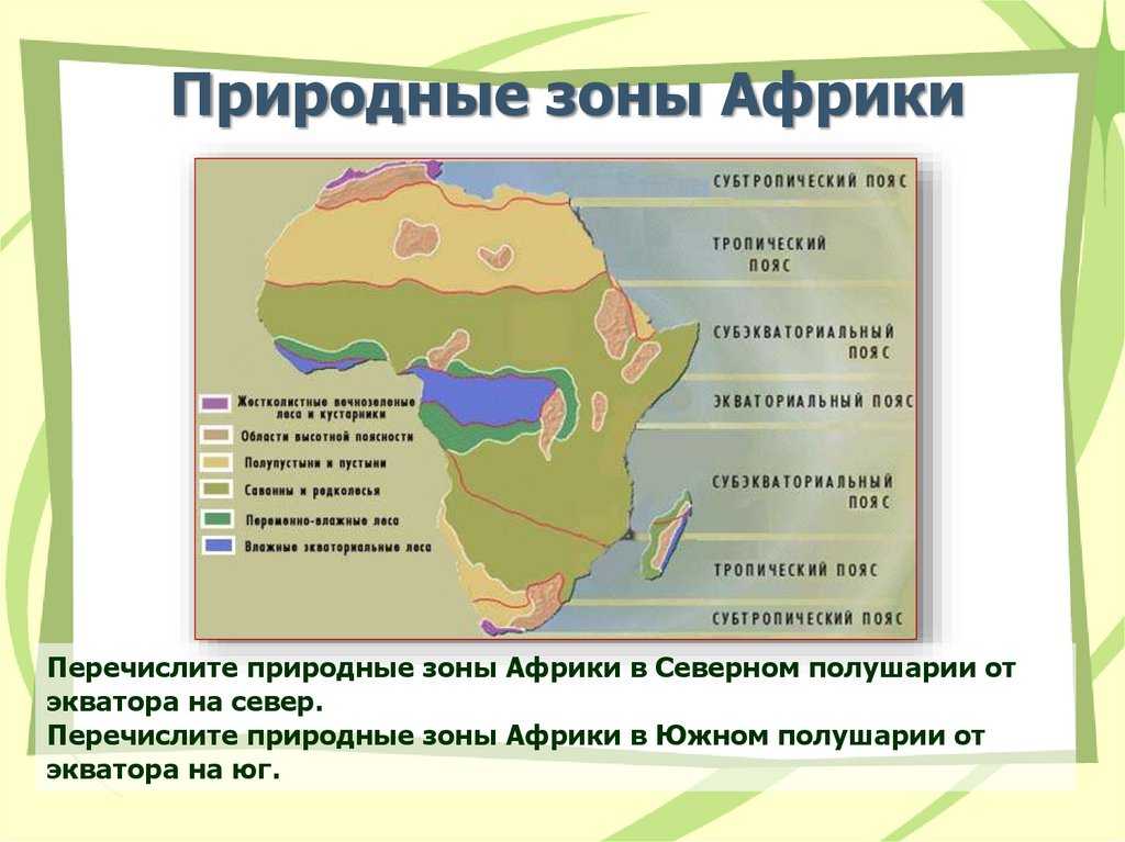 Природные районы африки и их особенности