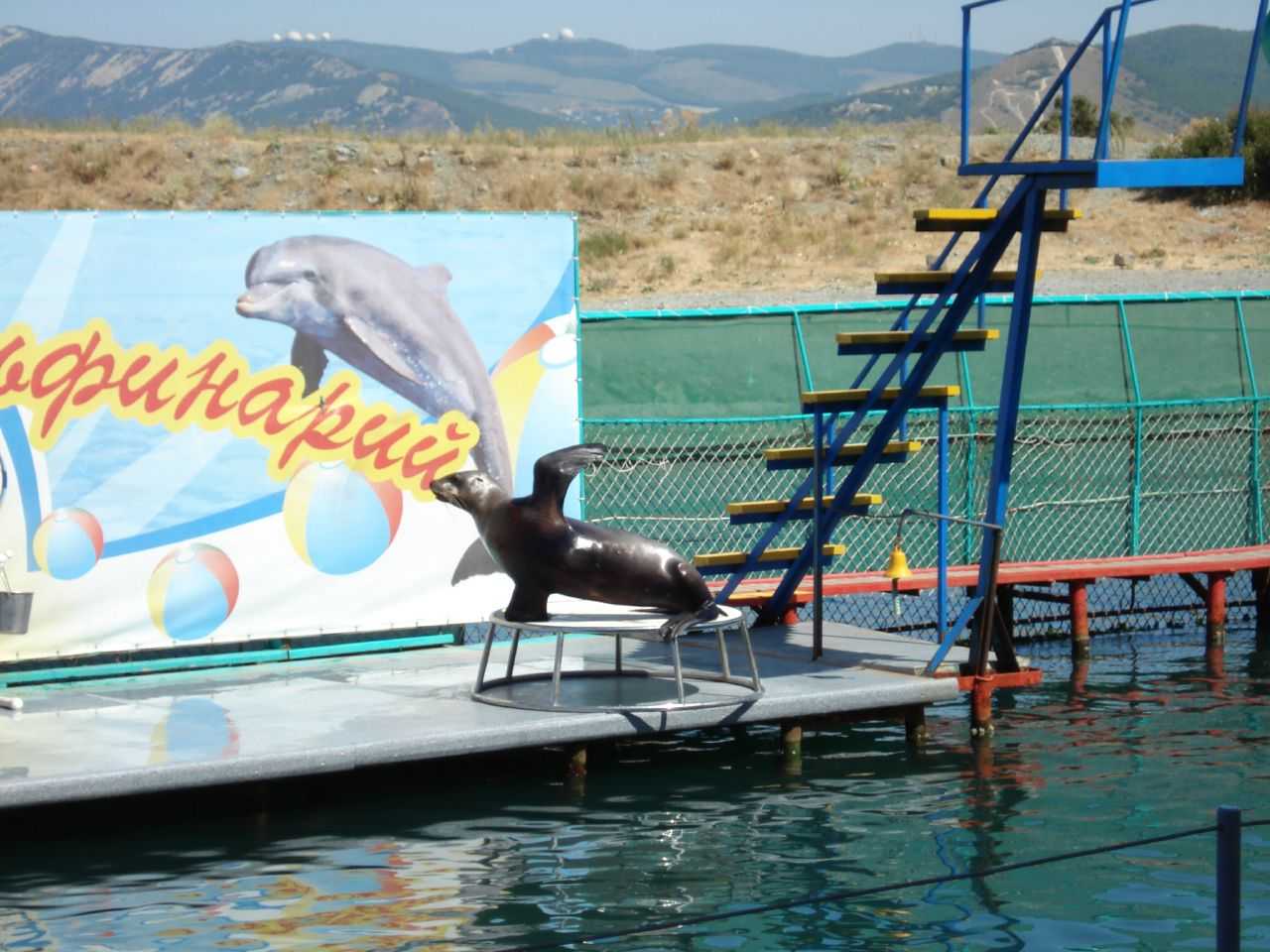 Анапский дельфинарий — anapaguru
