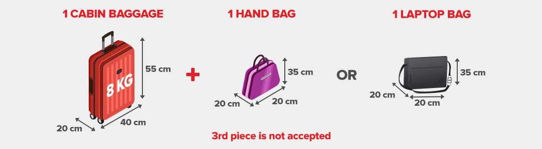 Нормы провоза багажа 1pc: что это значит