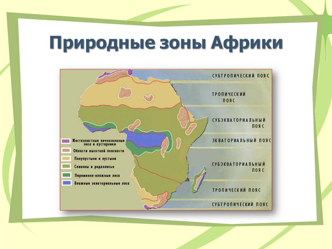Природные  зоны африки: какая преобладает в восточной, западной и южной части, карта