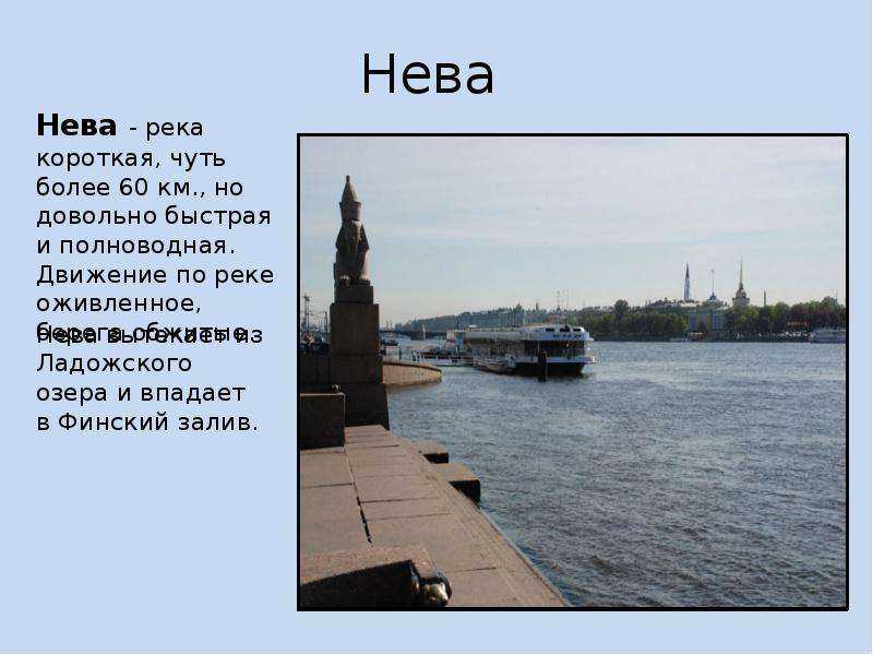 Река нева на карте россии. откуда вытекает и куда впадает, описание, интересные факты, растения и животный мир